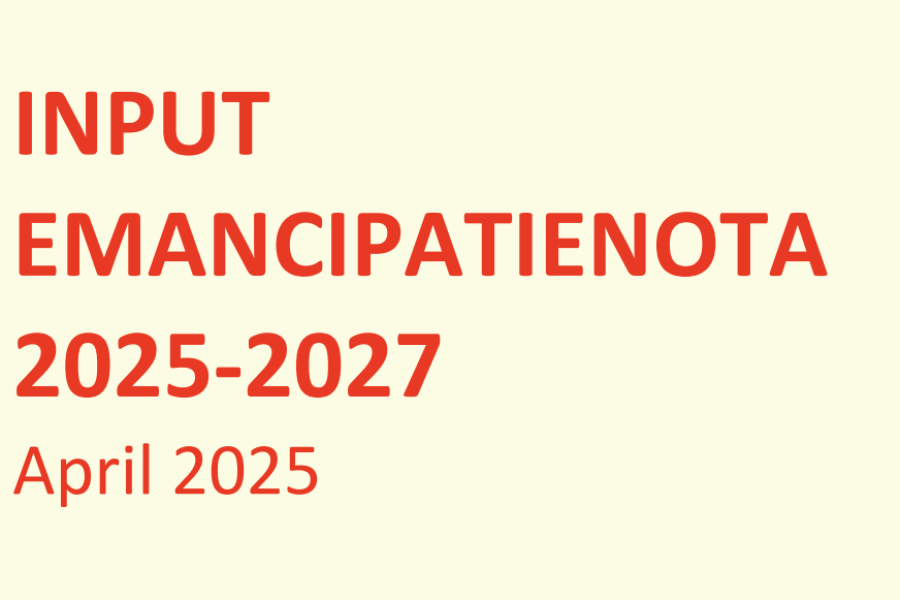 Schermafbeelding 2025-06-25 115801